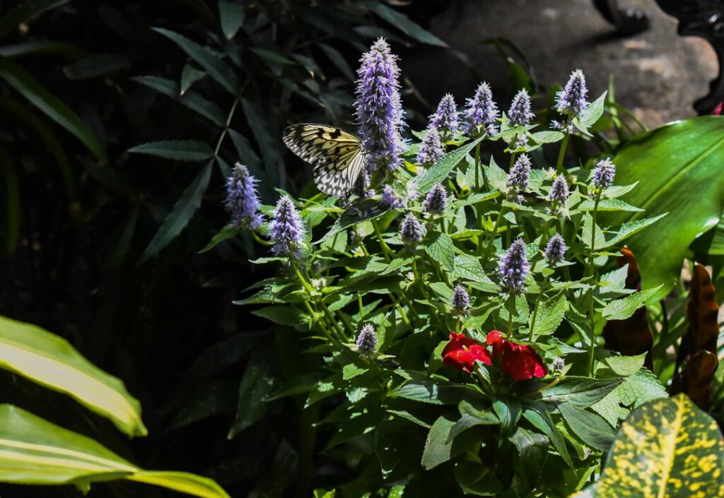 découvrez la signification des couleurs complémentaires et comment les utiliser pour créer des contrastes harmonieux et visuellement attrayants dans vos designs et compositions artistiques.