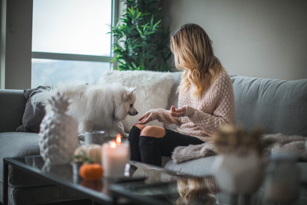 découvrez cozy home, votre refuge chaleureux et confortable pour un quotidien serein et accueillant.