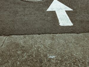 découvrez la symbolique de la pivoine, une fleur riche en significations telles que la beauté, la prospérité et l'amour.