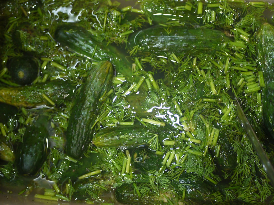 découvrez comment préparer facilement des concombres frais et croquants pour vos salades et plats estivaux avec notre guide simple et rapide.