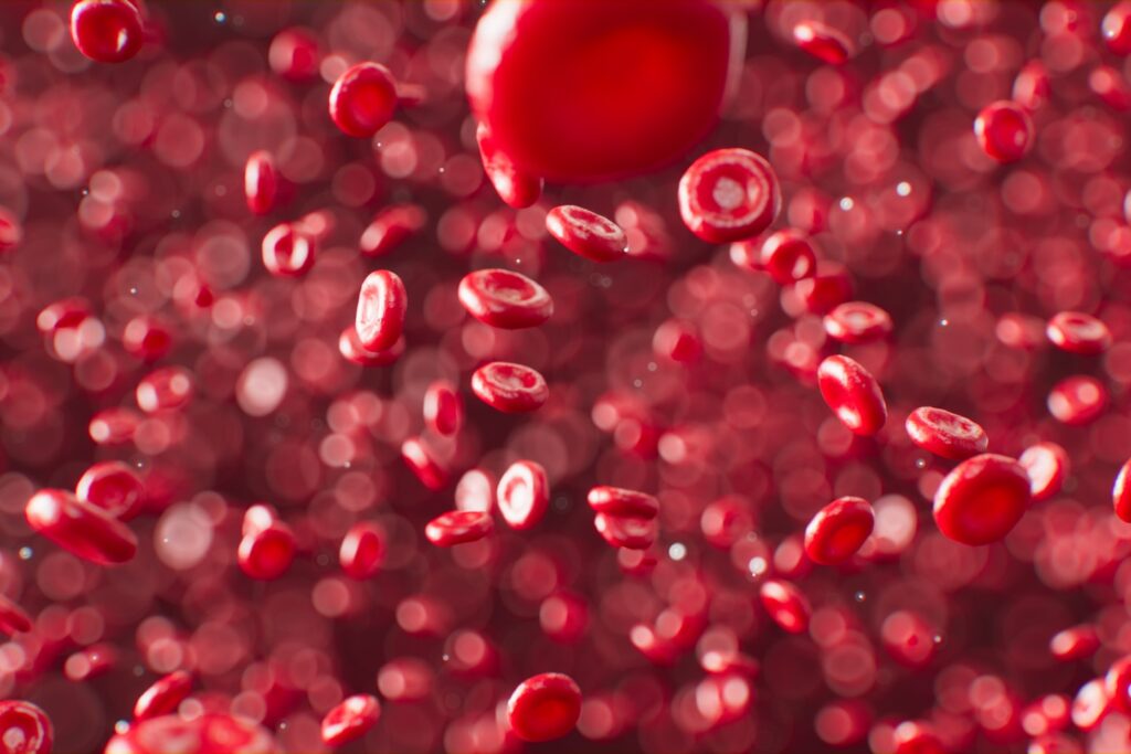 Red blood cells