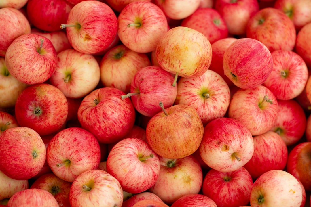 découvrez les bienfaits nutritionnels de la pomme : une source riche en vitamines, fibres, et antioxydants pour une alimentation saine et équilibrée.