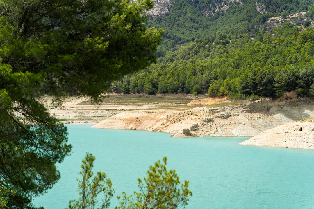 découvrez l'impact du glyphosate sur l'environnement et la santé en espagne, analyse des risques et des mesures de prévention.