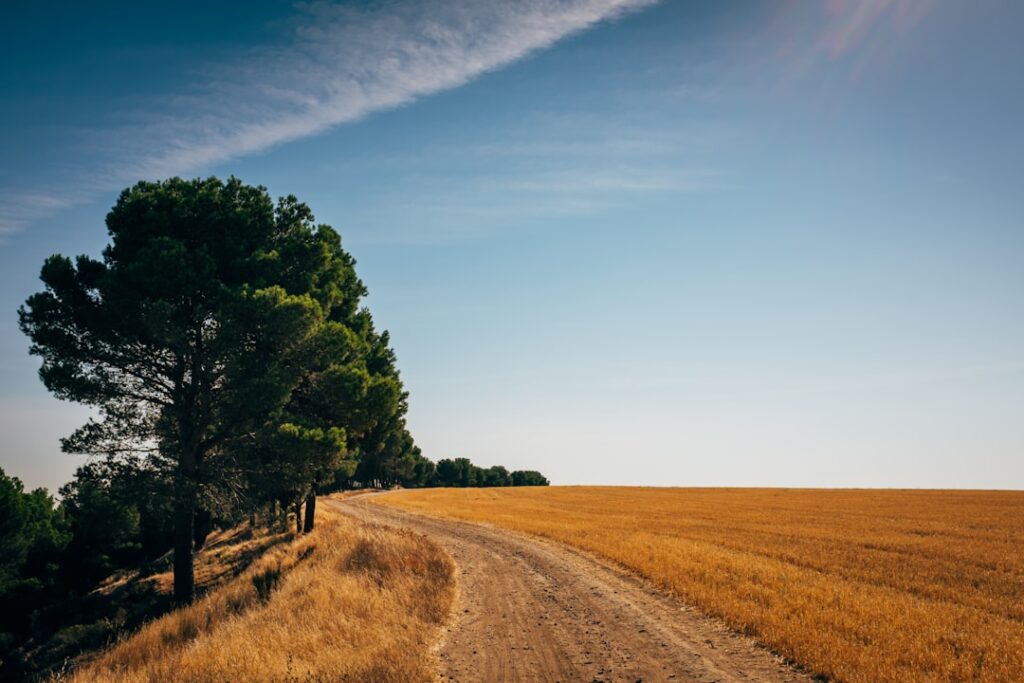 découvrez l'impact du glyphosate en espagne sur l'environnement et la santé publique, entre usages agricoles et préoccupations écologiques.